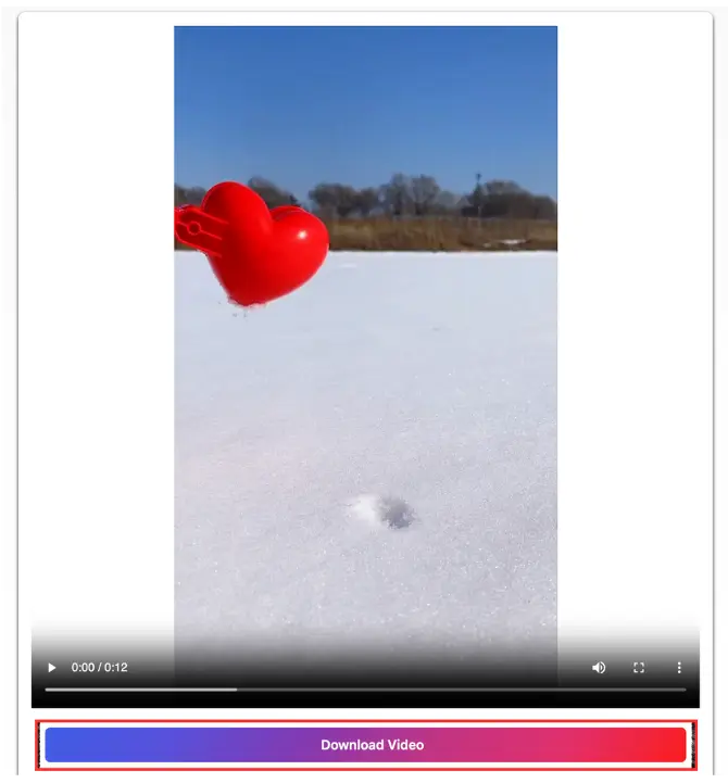 Instagram-Video-Downloader-guide-download-video